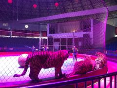 -西安秦岭野生动物园