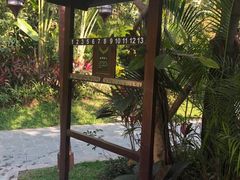 -碧桂园润杨溪谷温泉酒店
