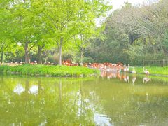 -上海野生动物园