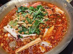 -张翻越·川渝冒菜·武汉黑鸭煲(城北万象城店)