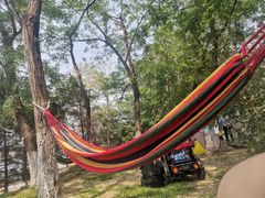 -长白岛森林公园