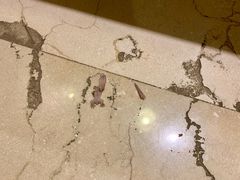 -三亚亚龙湾雅高铂尔曼别墅度假酒店