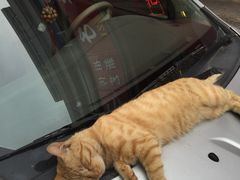 -二斗栗子(黄河道店)