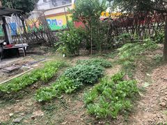 -鸿渡渔庄·特色鸭咀鱼