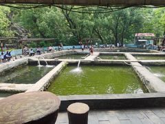 -双新垂钓园