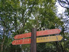 -绿野餐厅(上海动物园店)