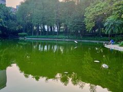 -黄埔荔枝公园