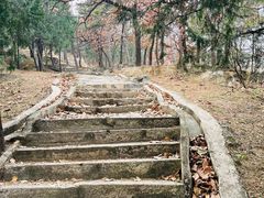-北京鹫峰国家森林公园