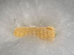 榴莲酥卷-小大董·烤鸭(凤凰汇店)