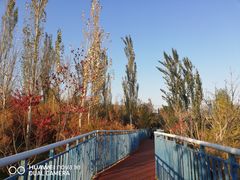 -小绿谷公园