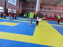 -武术世家少儿培训中心(首都体育学院店)