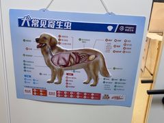 -瑞派康怡24h宠物医院·犬猫医疗中心·微创绝育(瑞景分院)