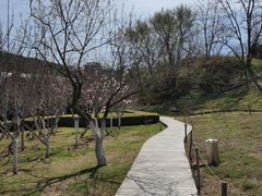 -棒棰岛宾馆景区