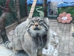 -青藏高原野生动物园