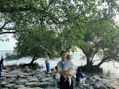 -宝安西湾红树林湿地公园