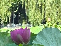 -裕华世纪公园
