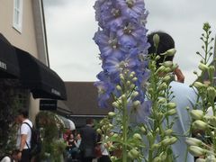 -伦敦比斯特购物村