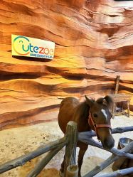 -酷嗒动物文化乐园(cutezoo西溪乐天城店)