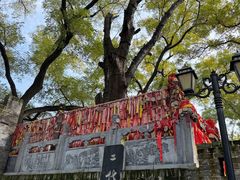 -大槐树寻根祭祖园