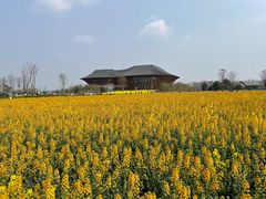 -中国天府农业博览园