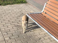 -迪拜相框