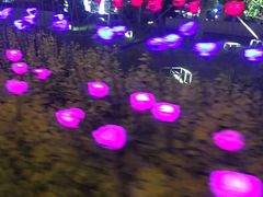 -人民广场(地铁站)