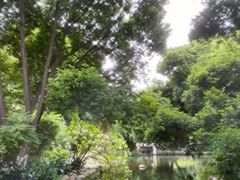 -成都市活水公园