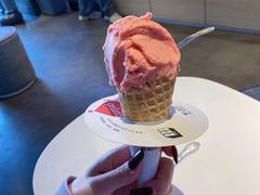 -野人牧坊Gelato(天津南开大悦城店)