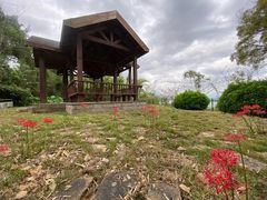 -福建鲤鱼洲酒店