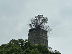 -江心屿景区