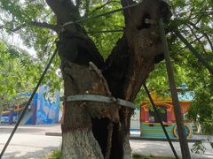 -石家庄市植物园