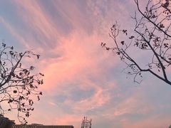 -北京国贸CBD亚朵S酒店xFunsCenter