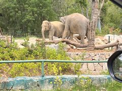 -南京汤山紫清湖生态旅游温泉度假区