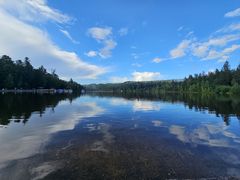 -五营红松林海景区