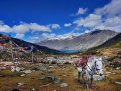 -康定跑马山风景区