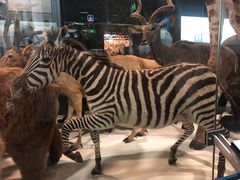 -浙江自然博物院(杭州馆)