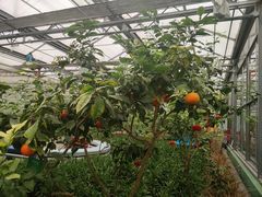 -南宫五洲植物乐园