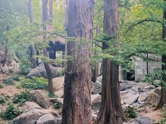 -云岗森林公园
