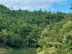 -广州白江湖森林公园