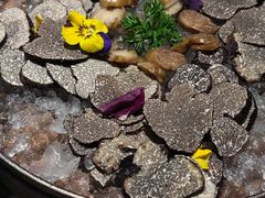 -芸山季·云南野生菌火锅(宝能环球汇店)