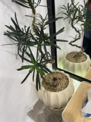 -LJOY丽锦造型·烫发染发