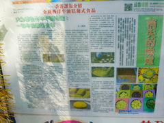 -金燕西洋牛油糕葡式食品