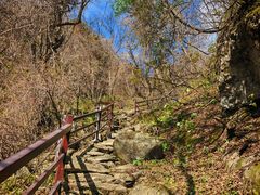 -王顺山国家森林公园