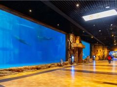 -华夏文旅海洋公园