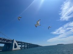 -星海湾跨海大桥
