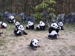 -泉州海丝野生动物世界