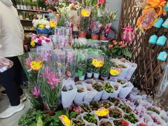 -超市发超市(学院路店)