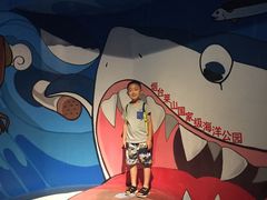 -烟台海昌鲸鲨海洋公园