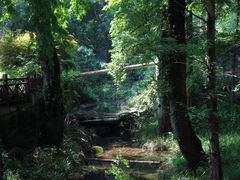 -素山寺森林公园