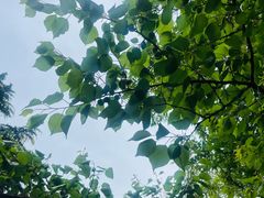 -天津盘山风景名胜区